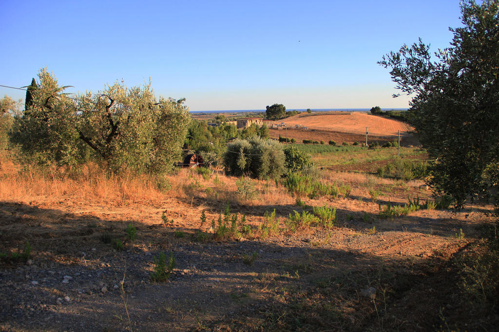 Agriturismo San Mauro Capalbio Exterior foto
